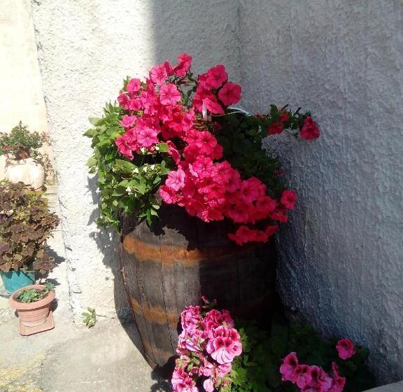 Bed and Breakfast Baglio Bellavista