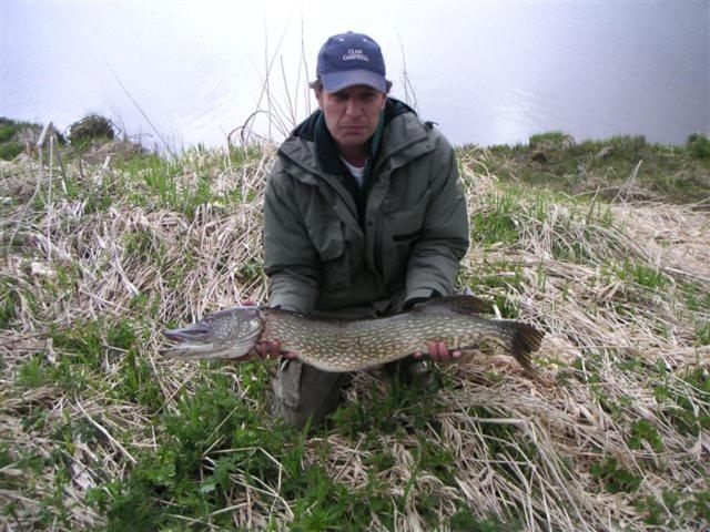 住宿加早餐 Beluga