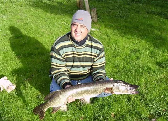 ベッドアンドブレックファースト Beluga