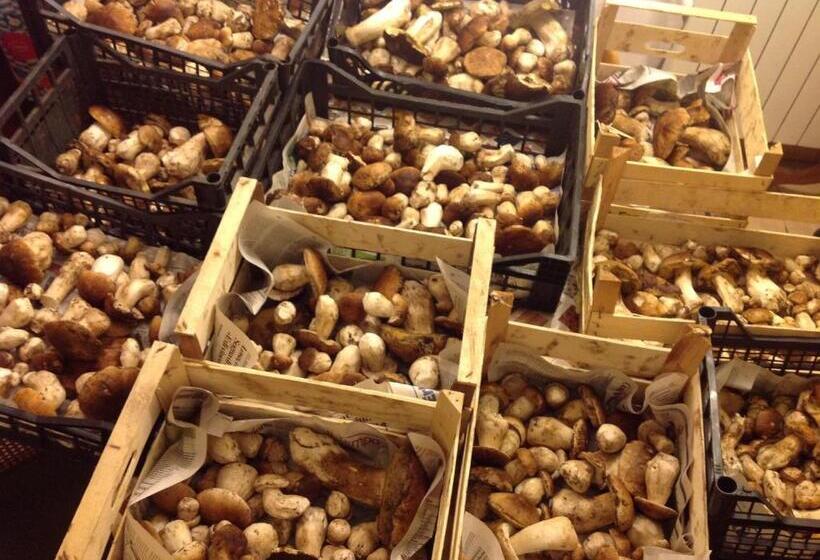 Отель Agriturismo Barcola