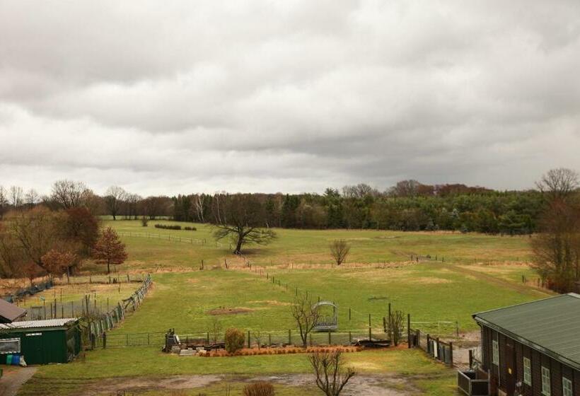 ホテル Garni Landgasthof Lüchau