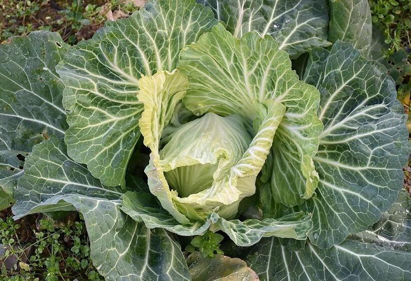 酒店 Quinta Das Aveleiras