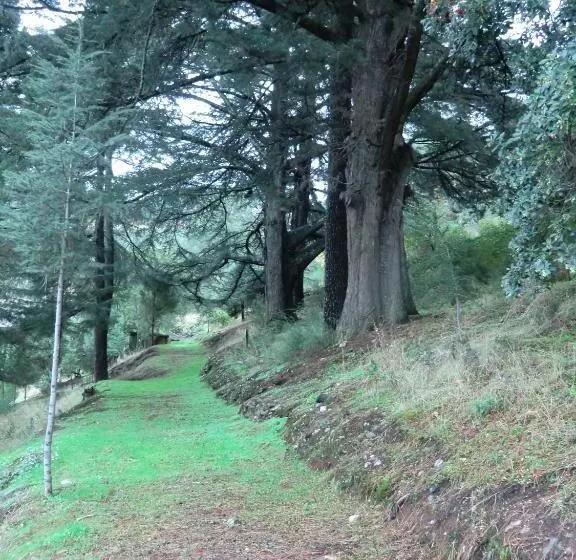 ホテル Quinta Das Aveleiras