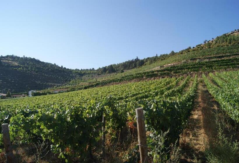 酒店 Quinta Das Aveleiras