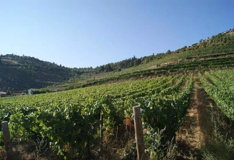ホテル Quinta Das Aveleiras