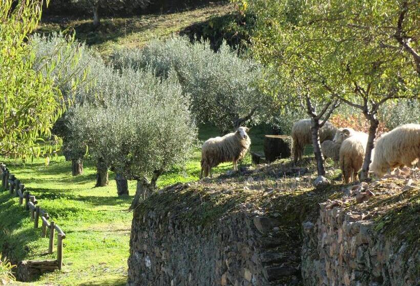 酒店 Quinta Das Aveleiras