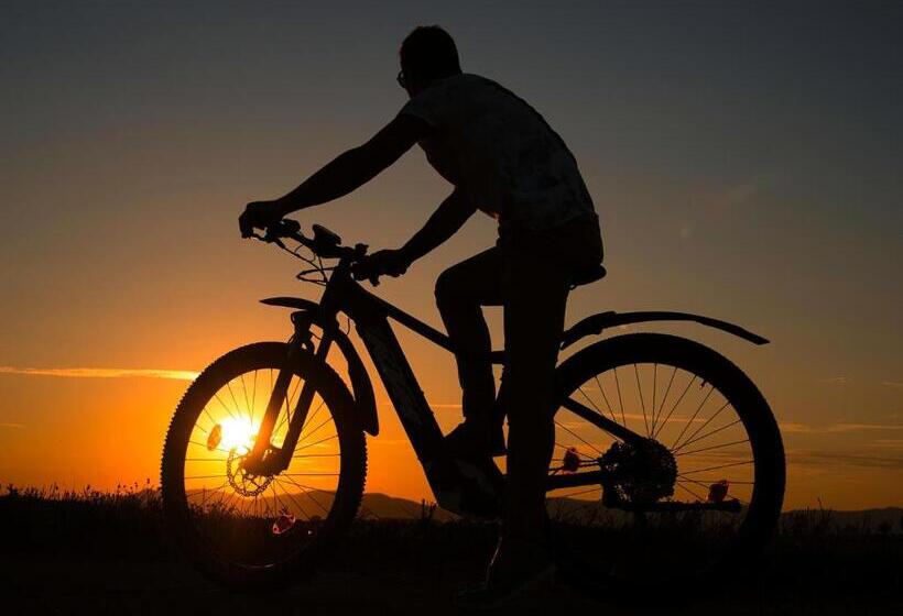 Отель Reiterhof Edelweiss