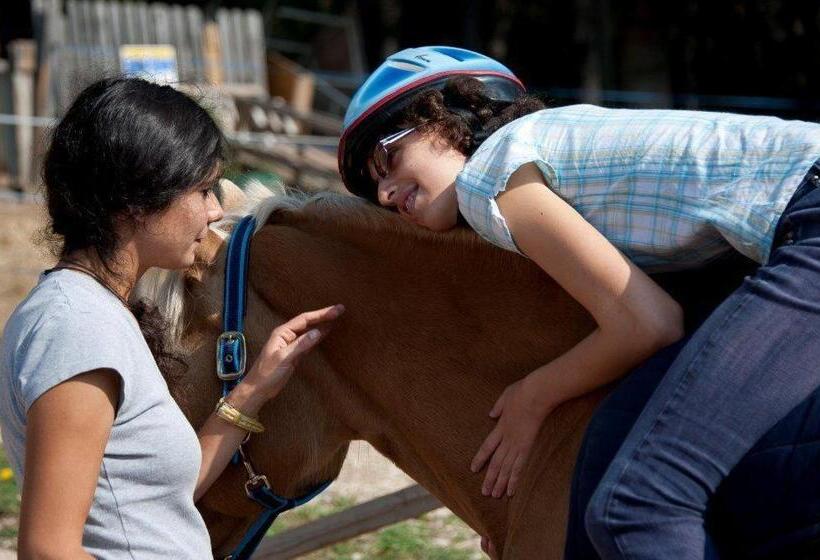 Отель Reiterhof Edelweiss