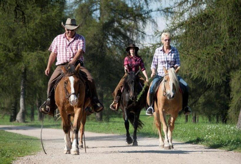 Отель Reiterhof Edelweiss
