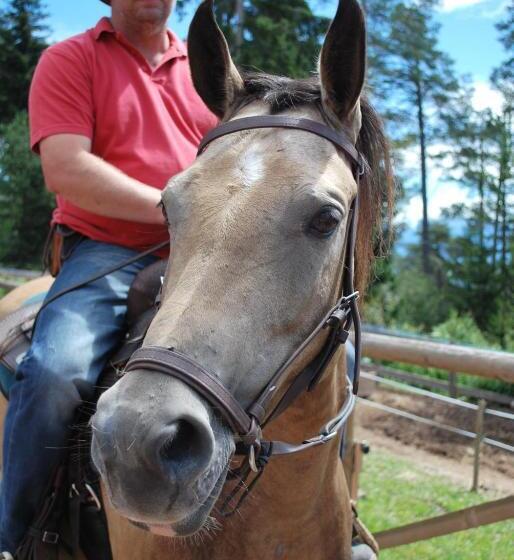 Отель Reiterhof Edelweiss
