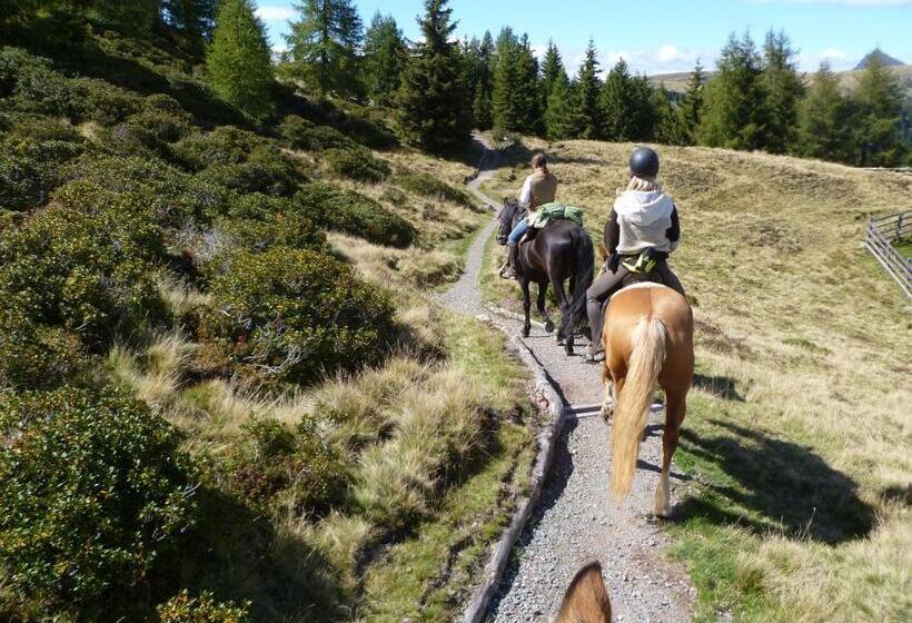 Отель Reiterhof Edelweiss
