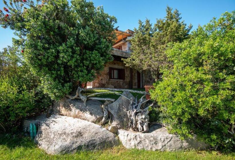 ペンション Affittacamere S Alzola