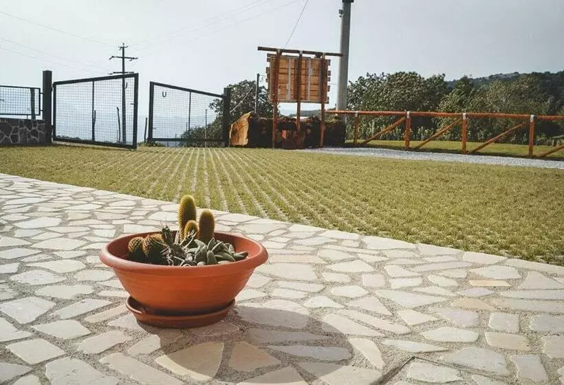 Aamiaismajoitus (B&B) Le Radici Laviano