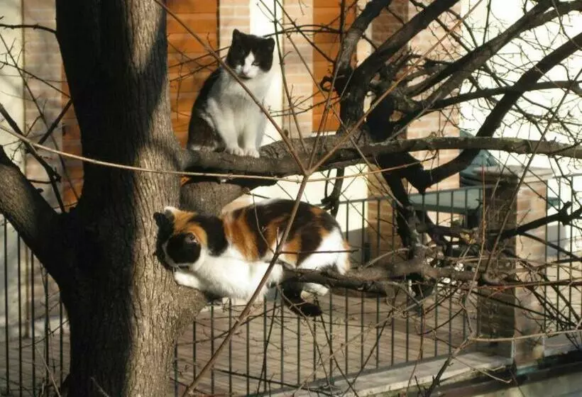 Bed & Breakfast Casa Jo