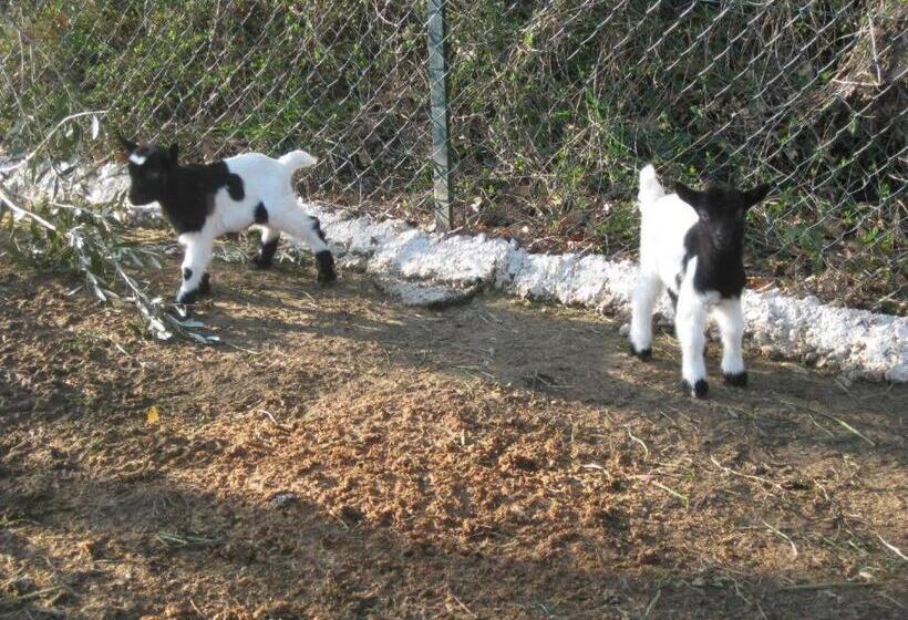 Bed & Breakfast Casa Jo