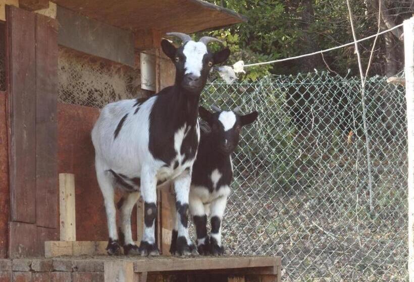 Bed & Breakfast Casa Jo