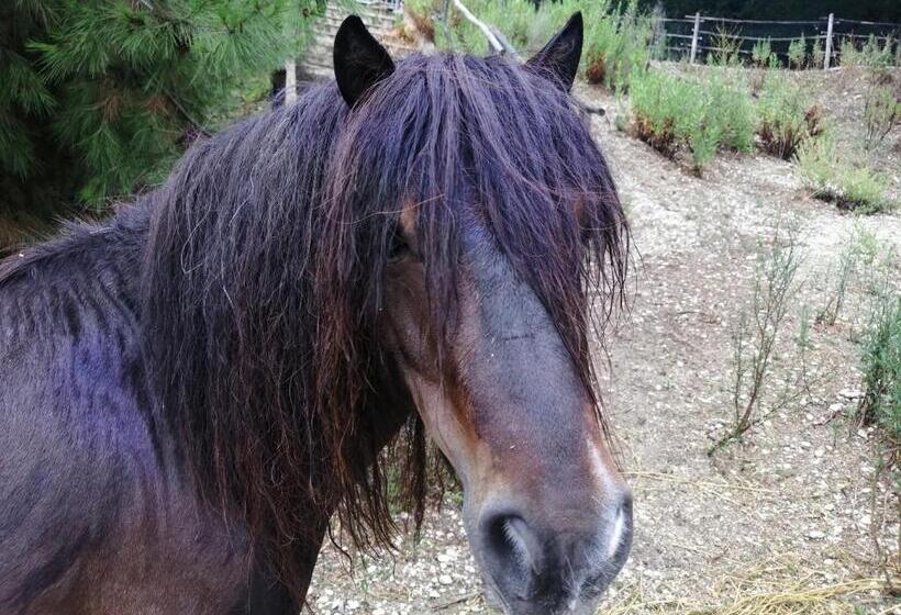 Bed & Breakfast Casa Jo