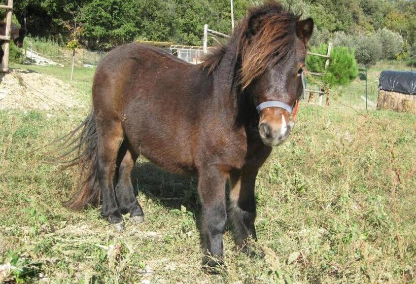 Bed & Breakfast Casa Jo