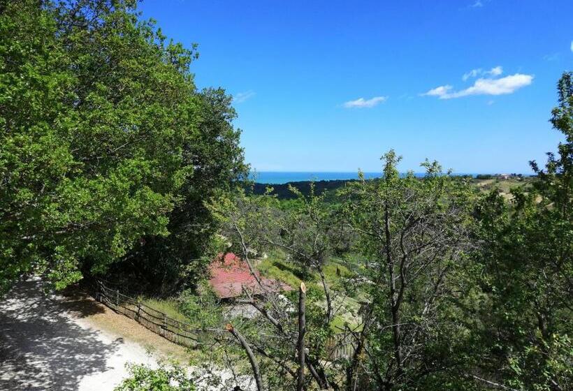 Bed & Breakfast Casa Jo