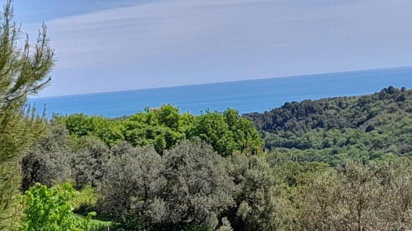 Bed & Breakfast Casa Jo