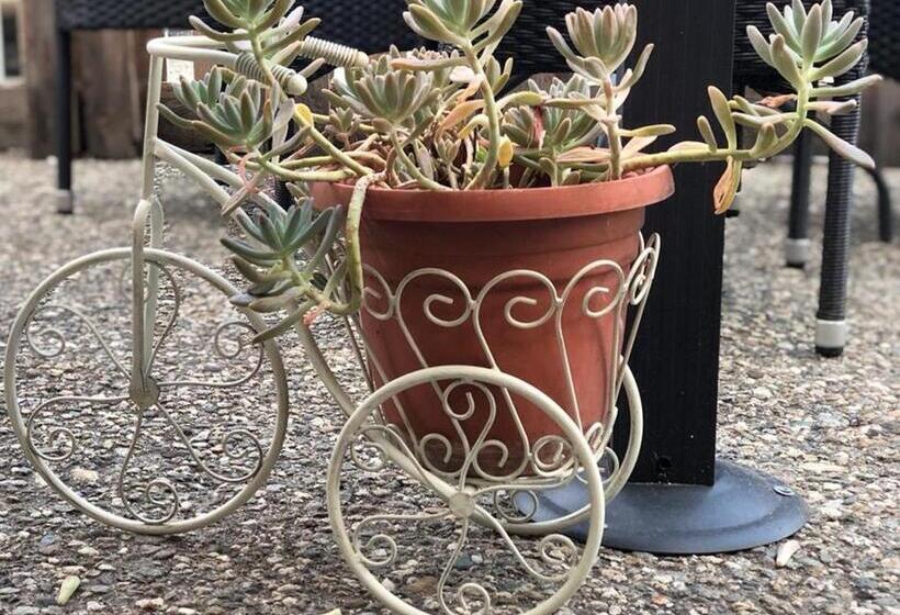 ホテル Ferramonti