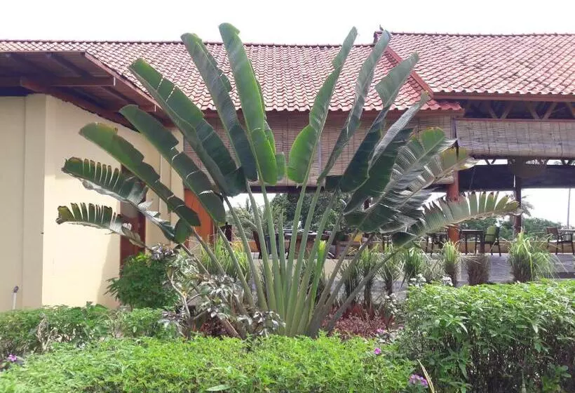 Marind Dive Eco Resort