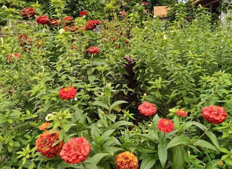 Marind Dive Eco Resort