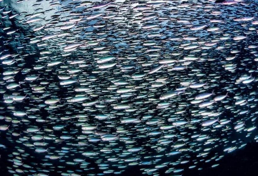 Marind Dive Eco Resort