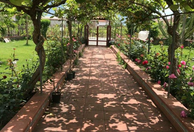 پانسیون Alma Migrante Bed&wine