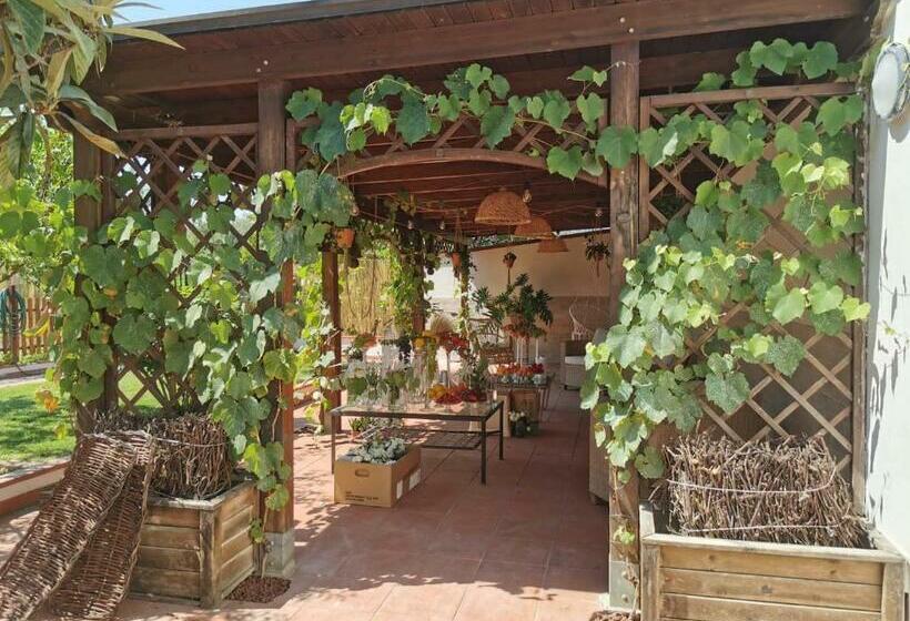 پانسیون Alma Migrante Bed&wine