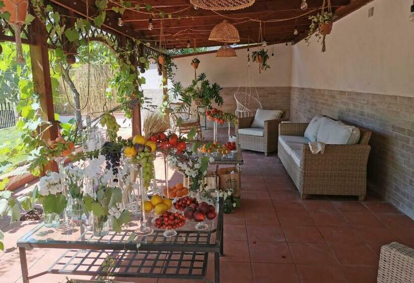 پانسیون Alma Migrante Bed&wine