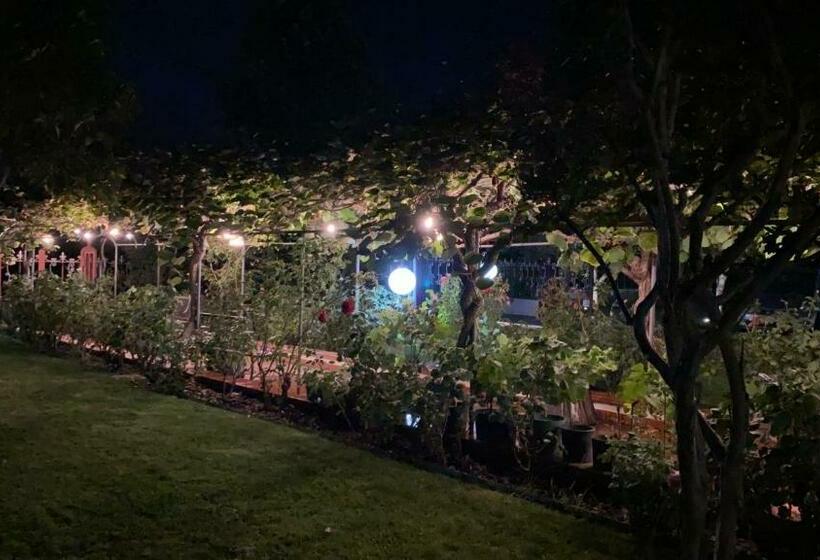 پانسیون Alma Migrante Bed&wine