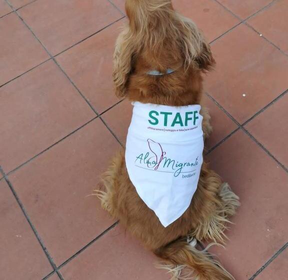 پانسیون Alma Migrante Bed&wine