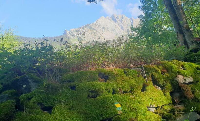 پانسیون Chambre D Hôtes à La Ferme