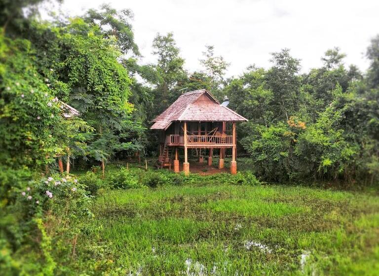 渡假胜地  Kingfisher Ecolodge