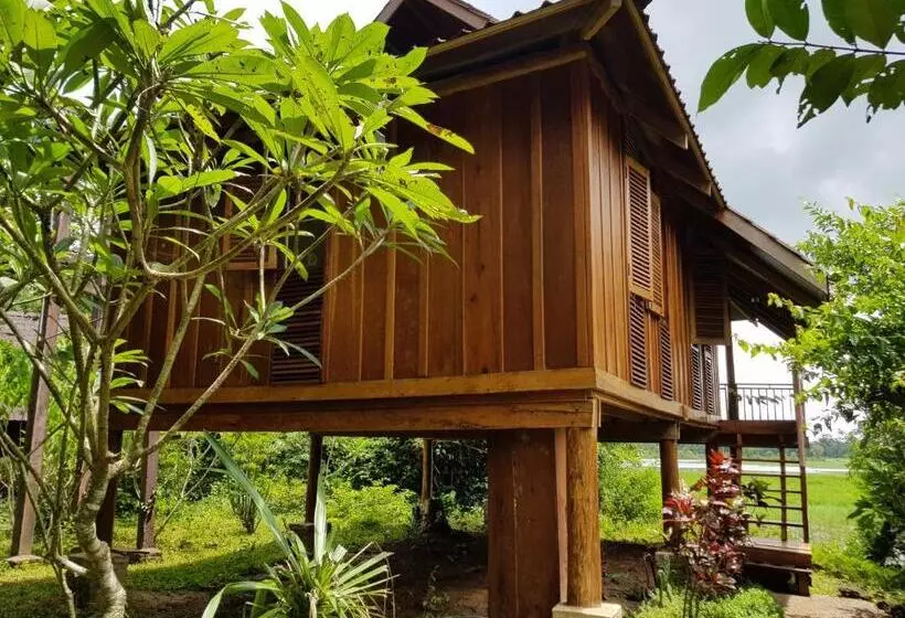 Lomakeskus Kingfisher Ecolodge