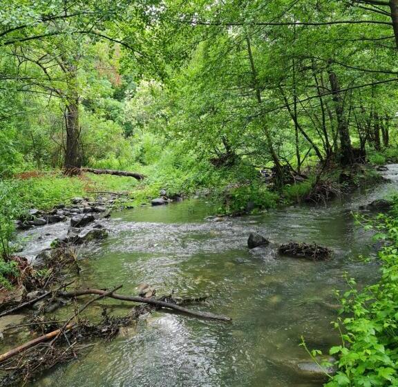 مبيت وإفطار Le Moulin D Onclaire Camping Et Chambres D Hôtes