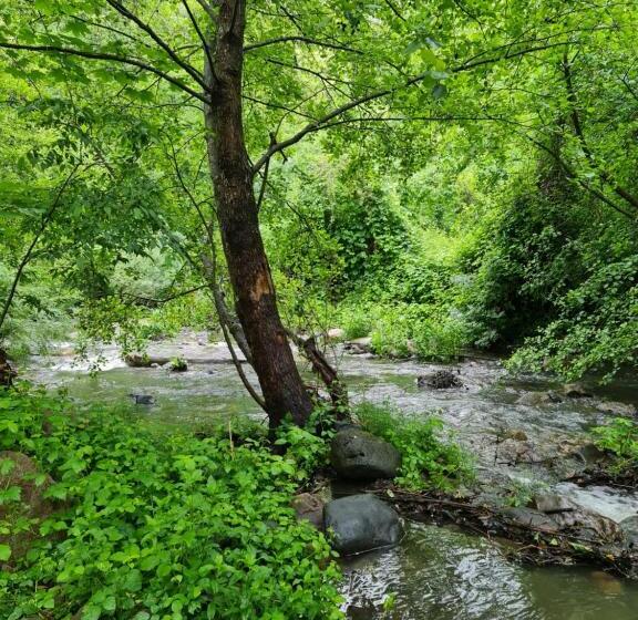 مبيت وإفطار Le Moulin D Onclaire Camping Et Chambres D Hôtes