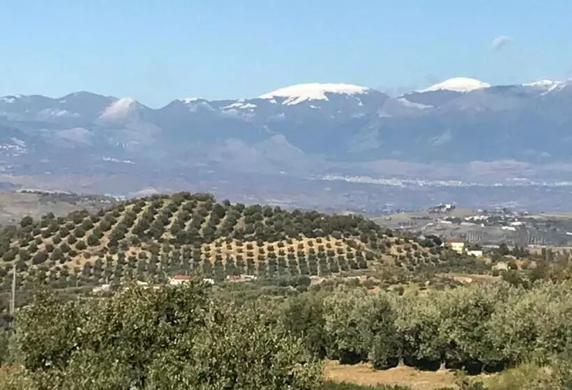 ホテル Agriturismo Miracco Atanasio Franco Il Maniero