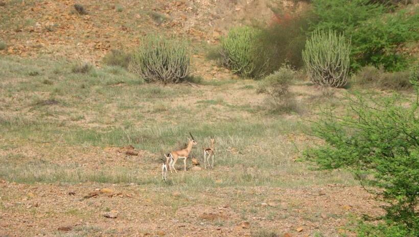 Hotel Murad Haveli Jaisalmer