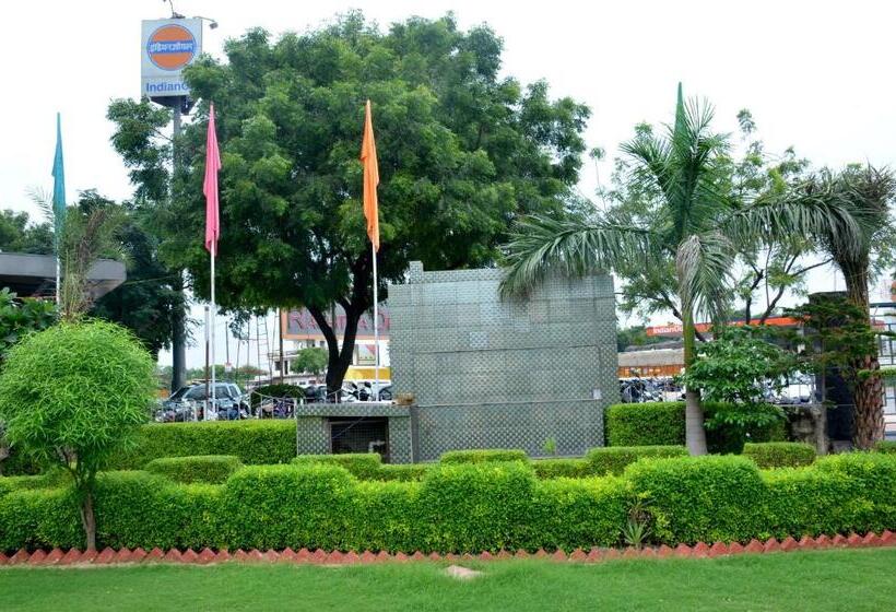 Отель Palm Galaxy