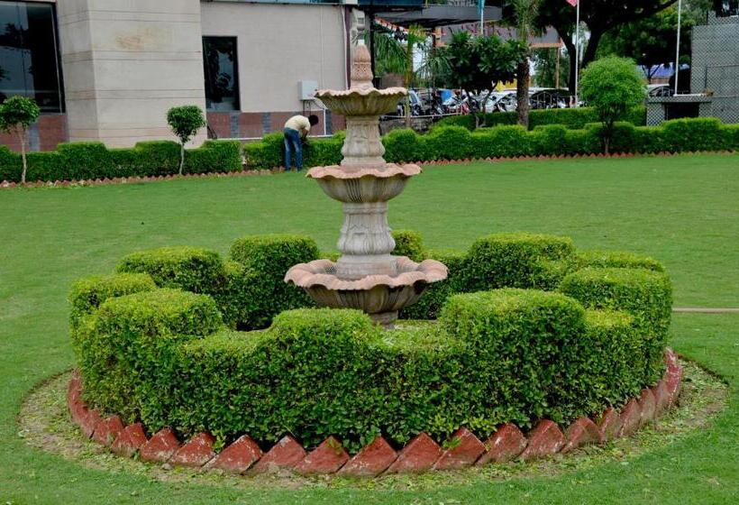 Отель Palm Galaxy