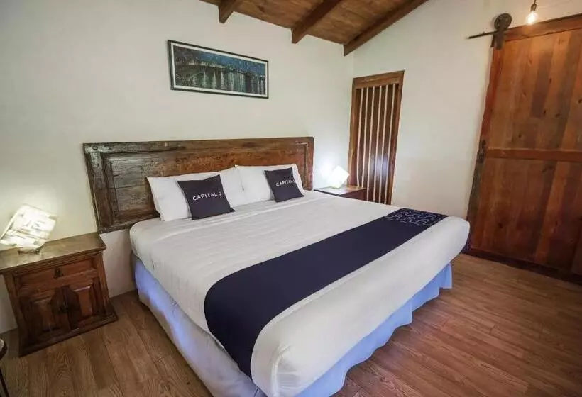 ホテル Pozo Viejo