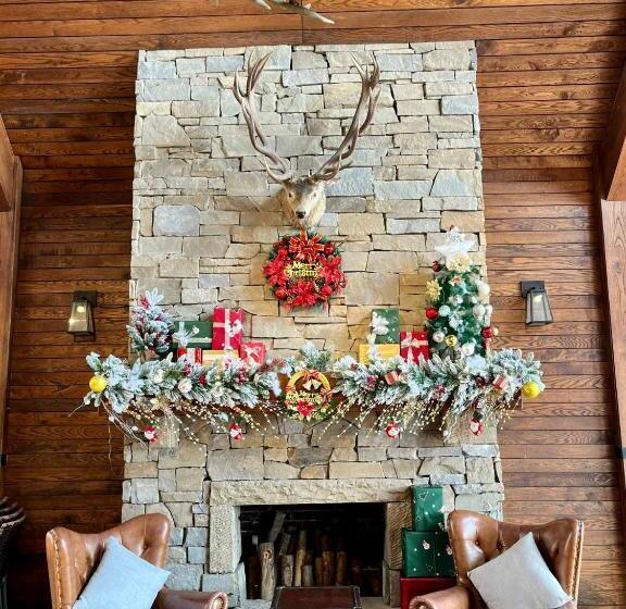 Venus Hotel Tam đảo