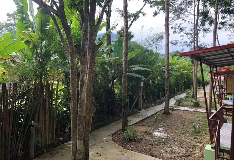 Khaosok Bamboo Huts Resort