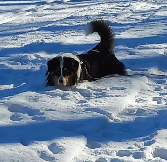 פנסיון Haus Alpina