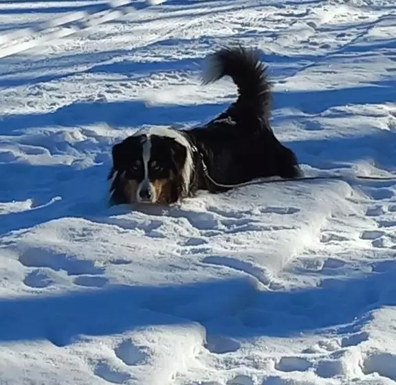 Majatalo Haus Alpina