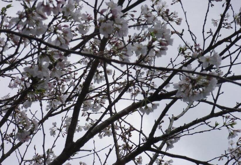 膳宿费 Minshuku Hoshi No Sumika