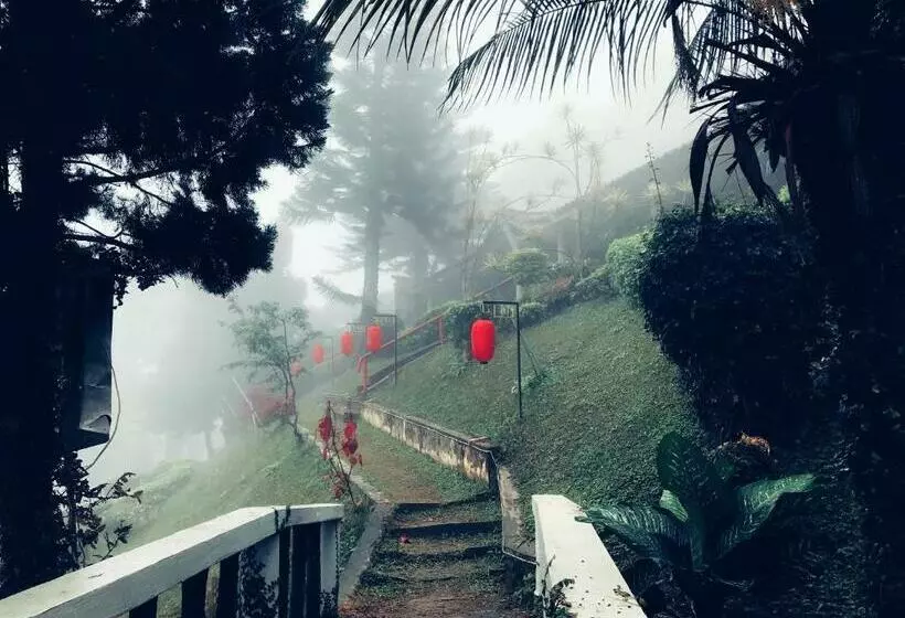 Lomakeskus Mae Salong Villa