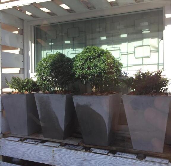 호텔 Rachawadee House